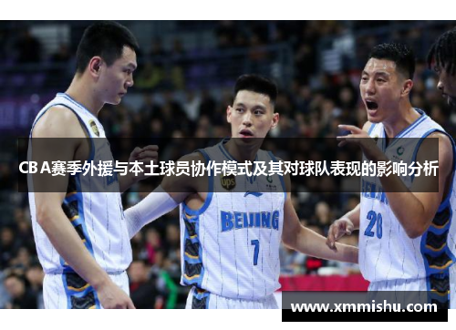CBA赛季外援与本土球员协作模式及其对球队表现的影响分析