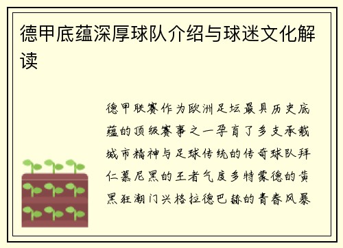 德甲底蕴深厚球队介绍与球迷文化解读