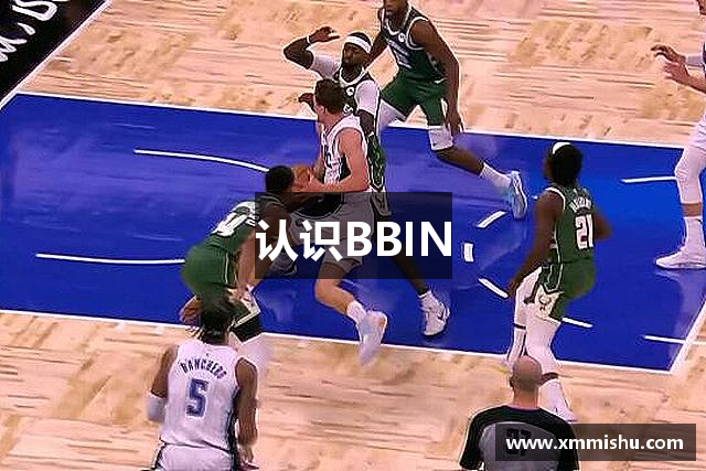 认识BBIN
